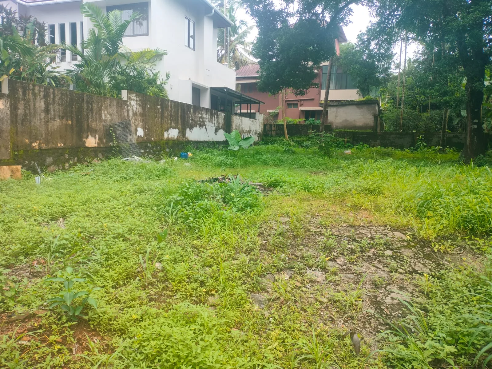 10-Cent Residential Plot for Sale Near Kerala Varma College, Thrissur in Keralavarma