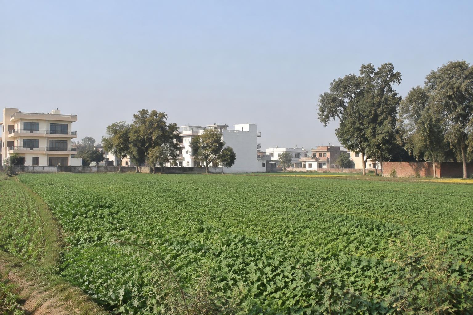 40 kanal Agricultural land for Sale in Mansa Devi Sec-5, Panchkula in Mansa Devi Sec-5