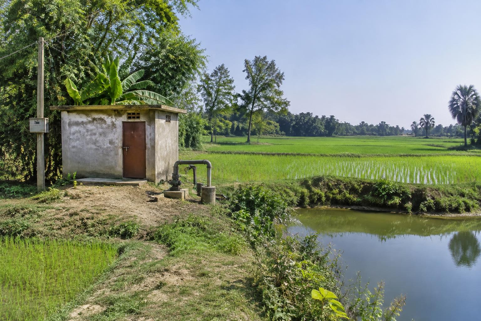 12 bigha Agricultural land for Sale in Murmela, Darrang in Murmela