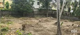 Plot in Panchkula Sector 23, Panchkula in Panchkula Sector 23
