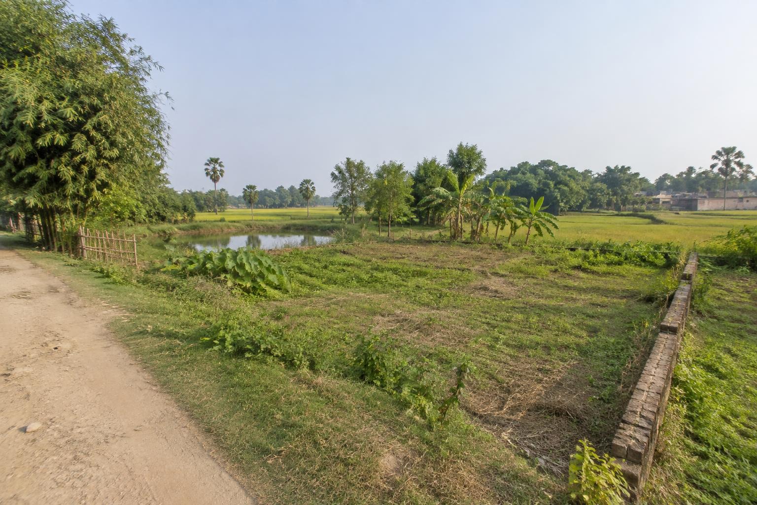 13 bigha Agricultural land for Sale in Sakrigali Ghat, Sahibganj in Sakrigali Ghat