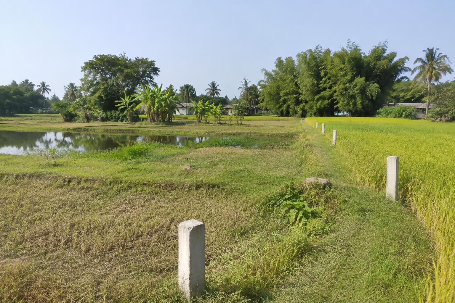 350 sq yd Plot for Sale in Debipur, Murshidabad in Debipur