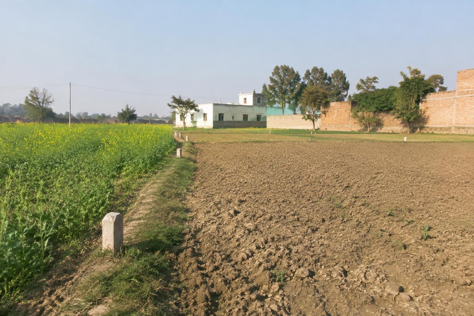 576 sq yd Plot for Sale in Rehra Bazar, Balrampur in Rehra Bazar