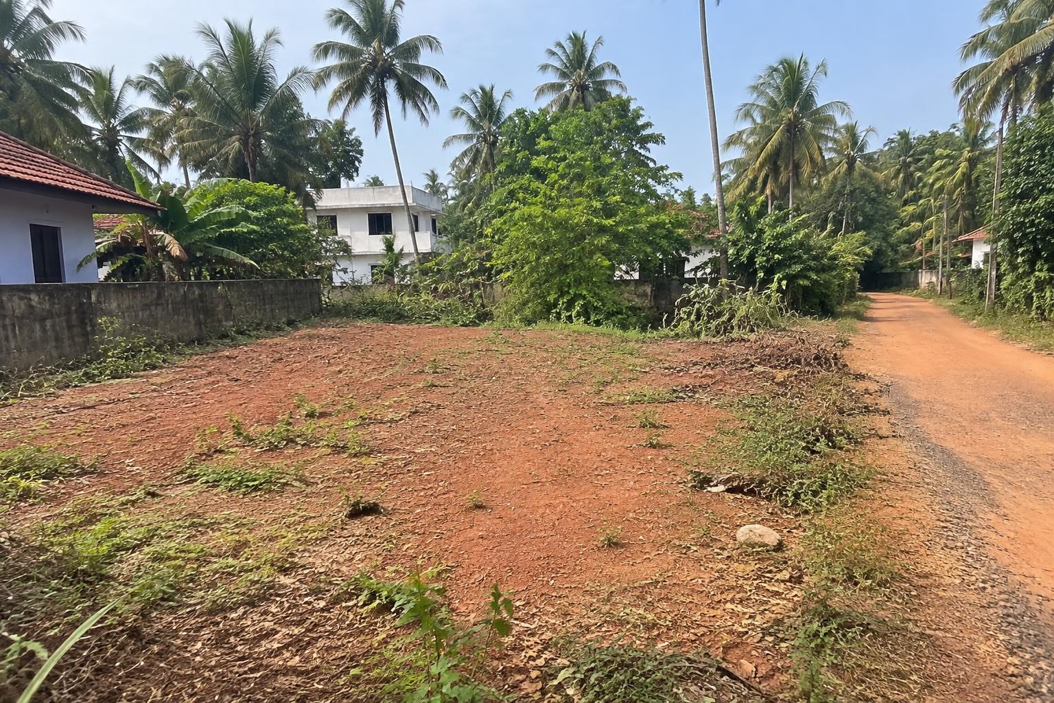 235 sq yd Plot for Sale in Chintapudi, Nellore in Chintapudi