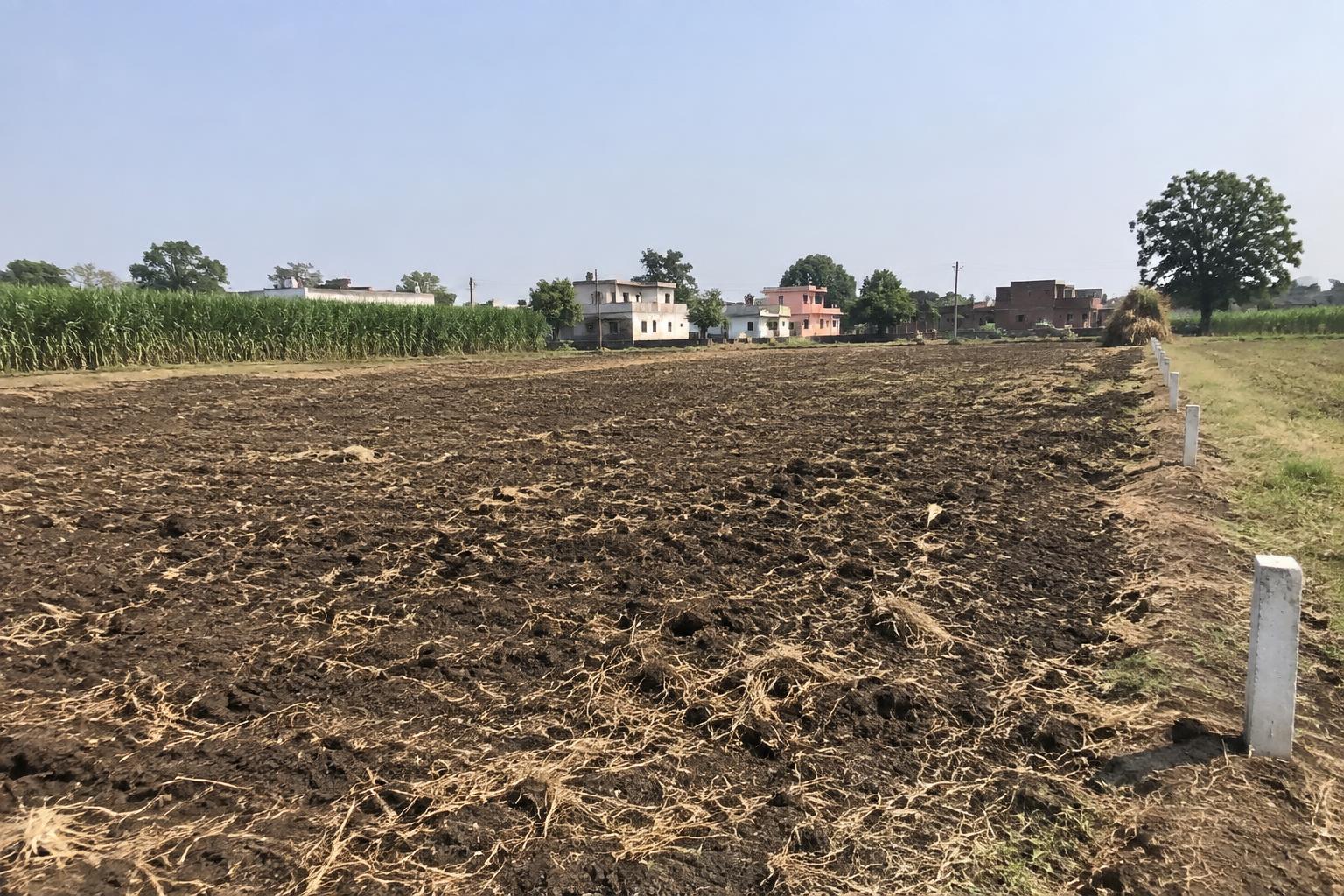 6 bigha Agricultural land for Sale in Bahadurpur, Ashok Nagar in Bahadurpur