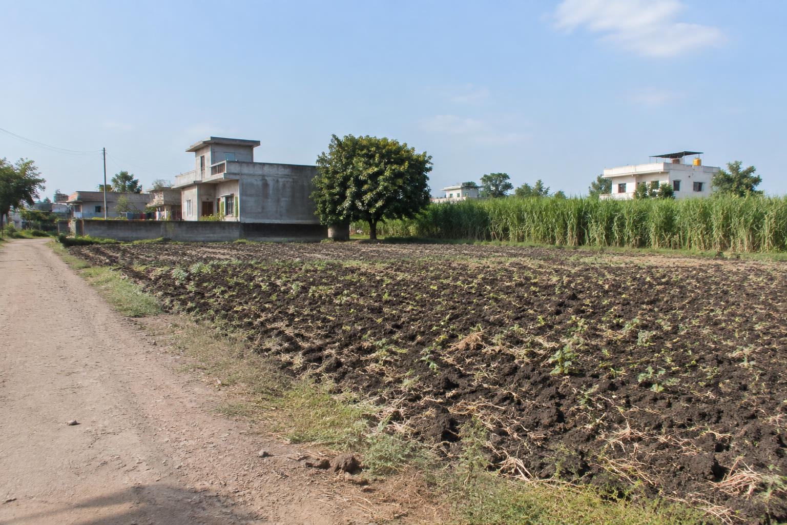399 sq yd Plot for Sale in Pilikothi, Satna in Pilikothi