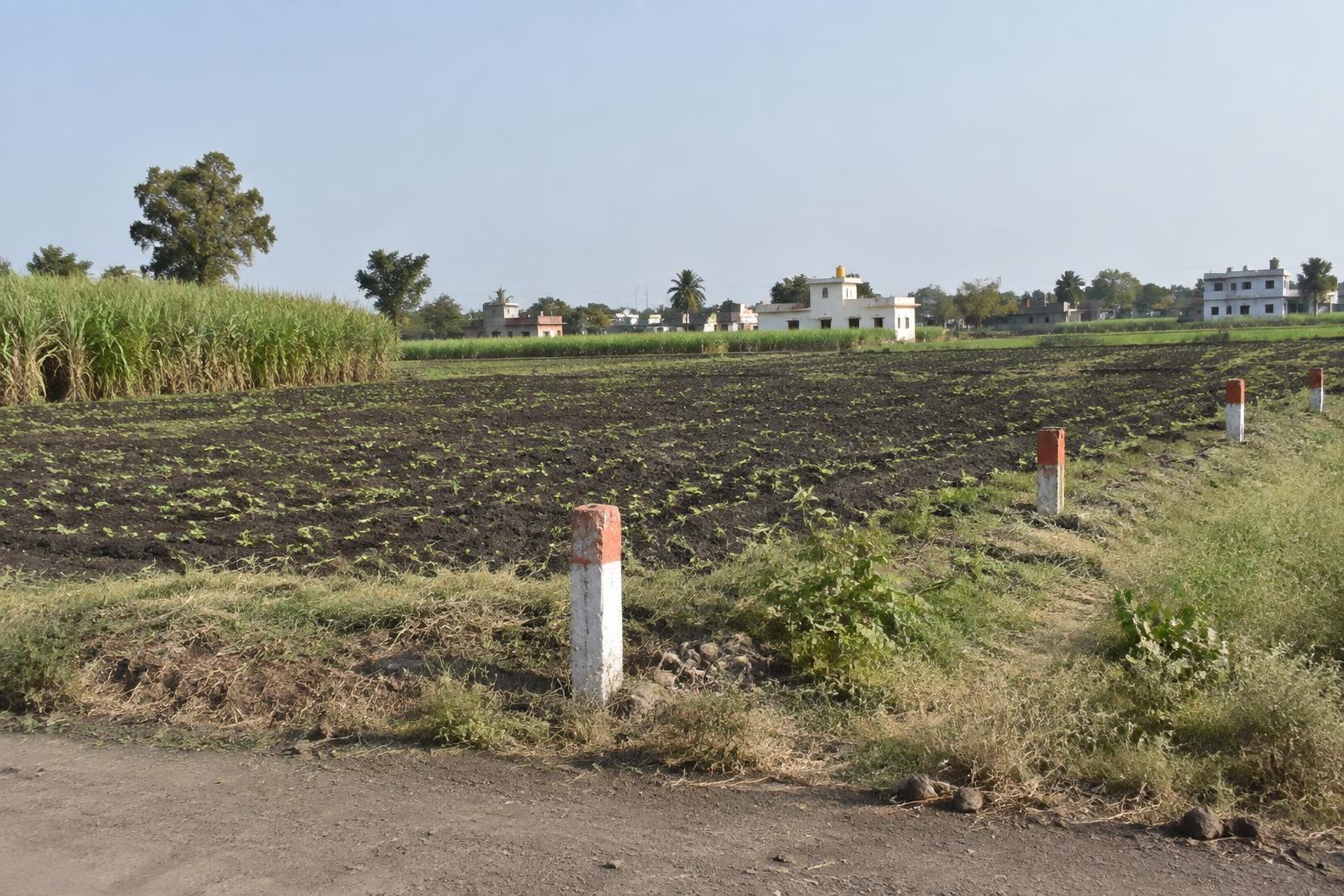 3917 sq ft Plot for Sale in Gogha, Bhavnagar in Gogha