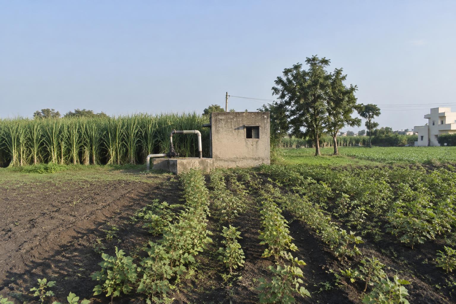 7 bigha Agricultural land for Sale in Rasalpura, Indore in Rasalpura